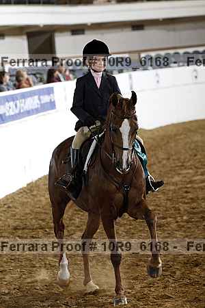Proof 10r9_6168