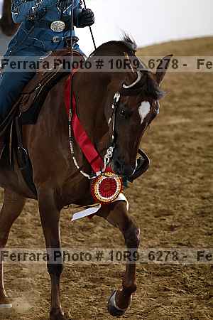 Proof 10r9_6278