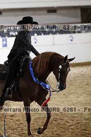 Proof 10r9_6281