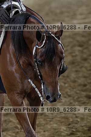 Proof 10r9_6288