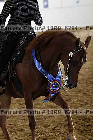 Proof 10r9_6294