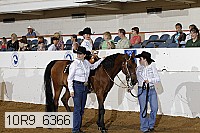 10r9_6366 proof