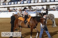 10r9_6383 proof