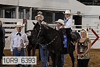 10r9_6393 proof