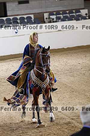 Proof 10r9_6409