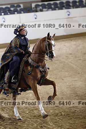 Proof 10r9_6410