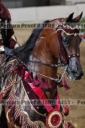 Proof 10r9_6455