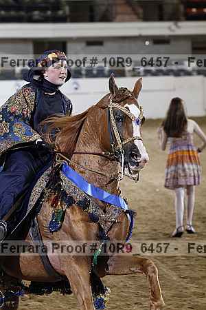 Proof 10r9_6457