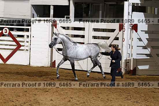 Proof 10r9_6465