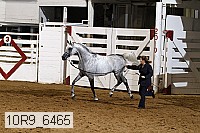 10r9_6465 proof