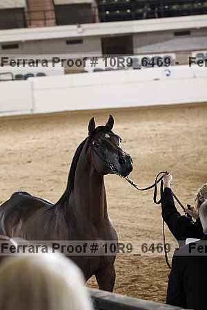 Proof 10r9_6469
