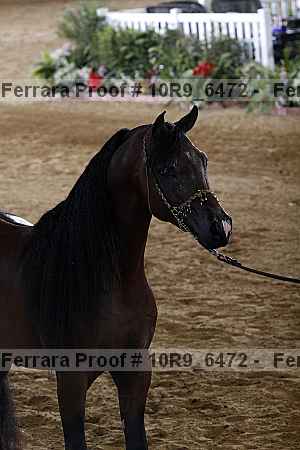Proof 10r9_6472