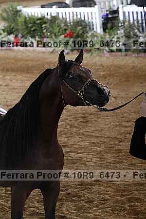 Proof 10r9_6473