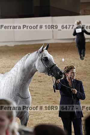 Proof 10r9_6477