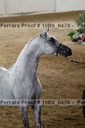 Proof 10r9_6478