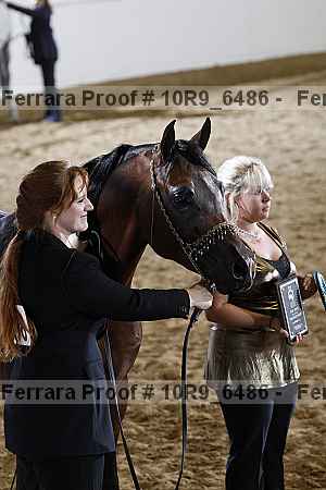 Proof 10r9_6486