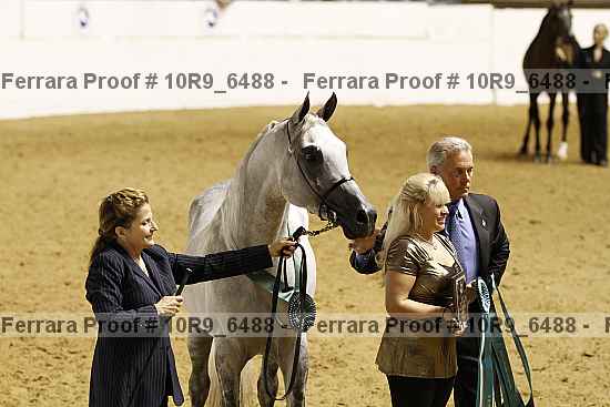 Proof 10r9_6488