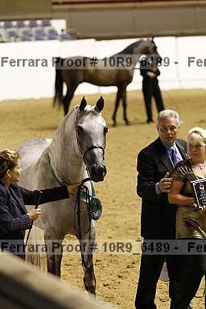 Proof 10r9_6489