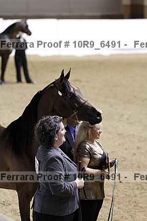Proof 10r9_6491