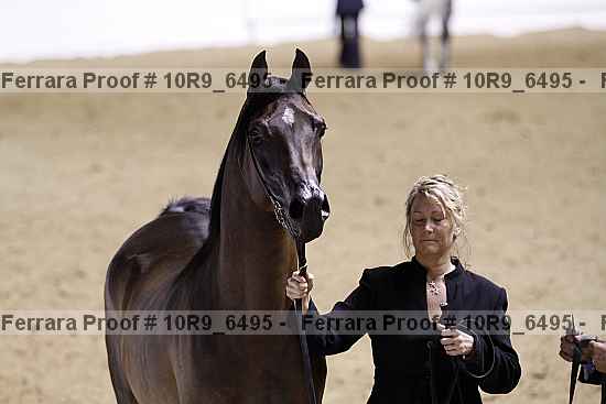 Proof 10r9_6495