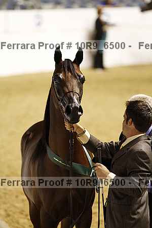 Proof 10r9_6500