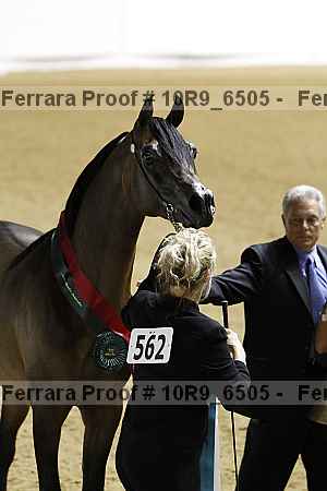 Proof 10r9_6505