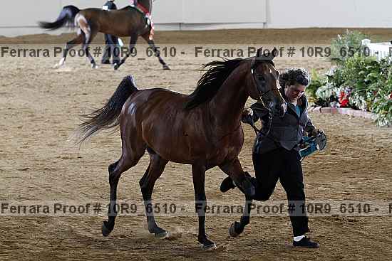 Proof 10r9_6510