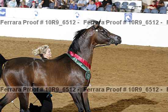Proof 10r9_6512