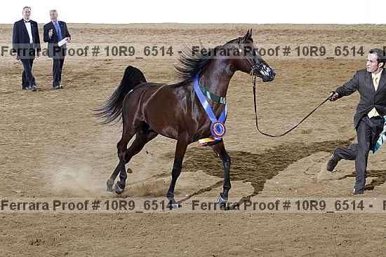 Proof 10r9_6514