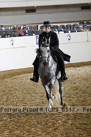 Proof 10r9_6517