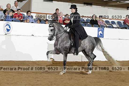Proof 10r9_6520