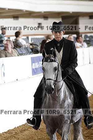 Proof 10r9_6521