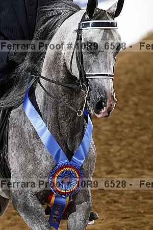 Proof 10r9_6528