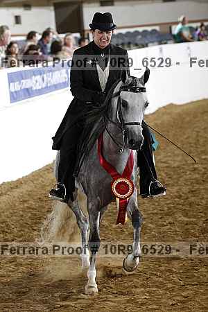 Proof 10r9_6529