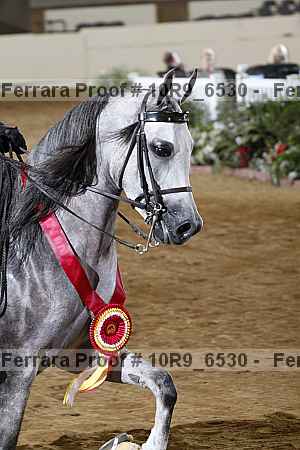 Proof 10r9_6530