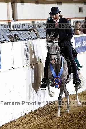Proof 10r9_6532