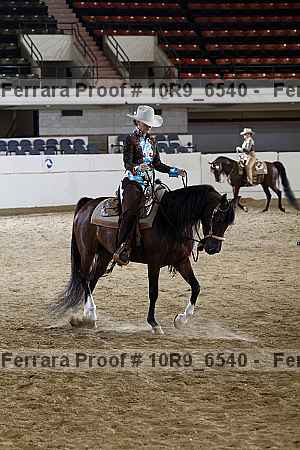 Proof 10r9_6540