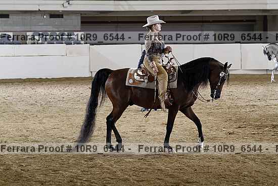 Proof 10r9_6544