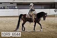 10r9_6544 proof