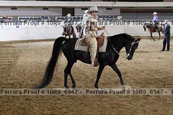 Proof 10r9_6547