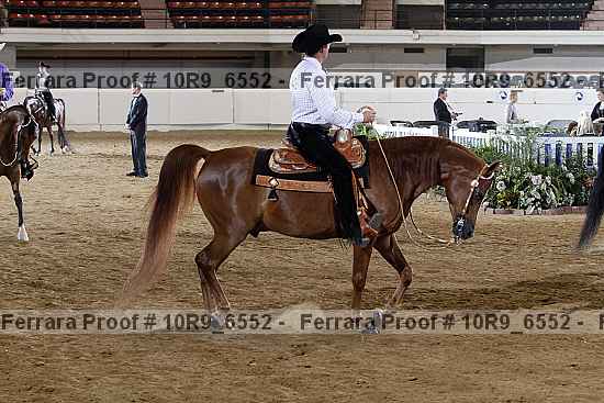 Proof 10r9_6552