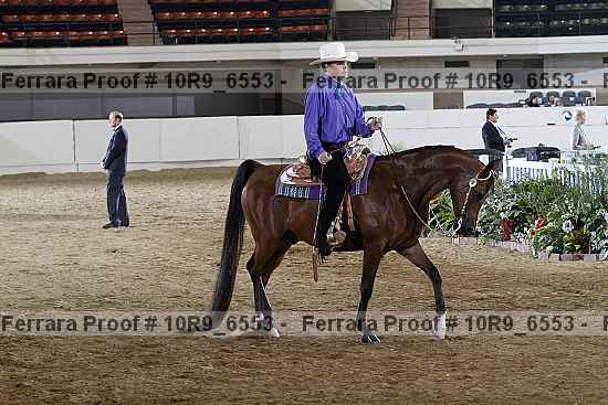 Proof 10r9_6553