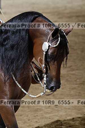 Proof 10r9_6555