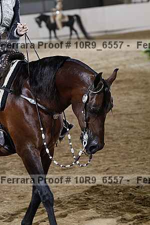 Proof 10r9_6557
