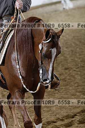 Proof 10r9_6558