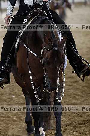 Proof 10r9_6561