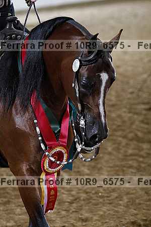 Proof 10r9_6575