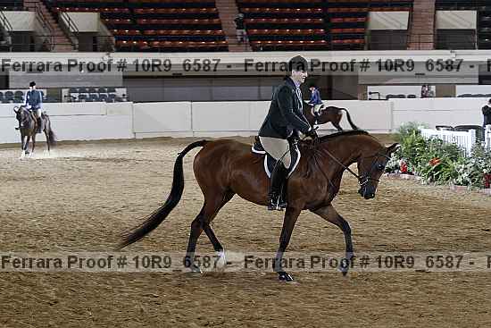 Proof 10r9_6587