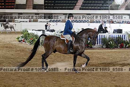 Proof 10r9_6588