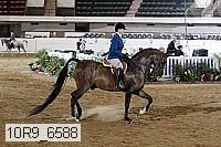 10r9_6588 proof